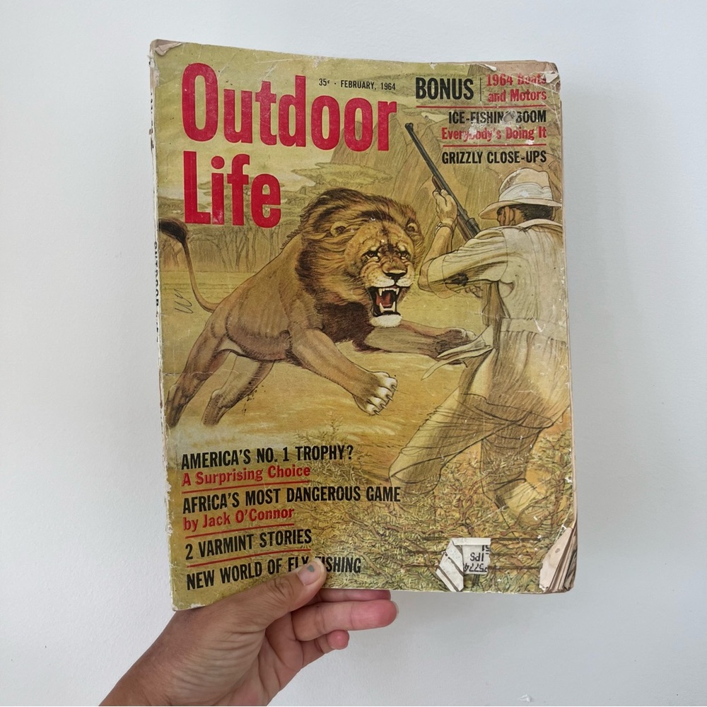 Vintage Outdoor Life Magazine February 1964 Edition Lion Roaring Grizzly READ